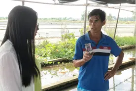 70岁老人创业年入百万，用猪大粪养出赚钱的”宝贝“，根本不愁卖