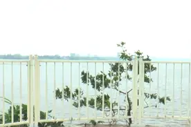 走进刚果河 领略非洲母亲河风貌视频封面