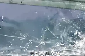 男子把车开到江里去了，男子大哥想开出来，没想到大哥却葬身大海视频封面