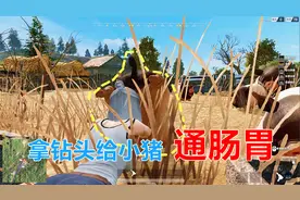 荒野行动：plus版本更新，小猪肚子不舒服，拿个钻头帮它通肠胃！视频封面