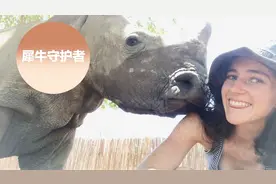 养犀牛当宠物是什么体验？长得这么凶狠撒起娇来却不输猫咪视频封面