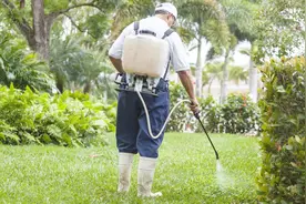 除草剂不用花钱买，农村爷爷教你制作高效除草剂，除草效果太棒了视频封面