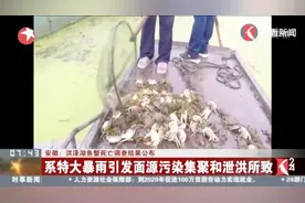 安徽洪泽湖鱼蟹死亡调查结果：大暴雨引发面源污染集聚和泄洪所致视频封面