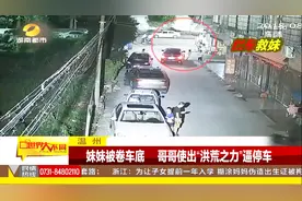 8岁妹妹被卷入车底 10岁哥哥使出“洪荒之力”逼停车 营救妹妹视频封面
