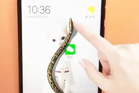 教你在手机锁屏时设置一条蛇，有人一碰你手机，蛇就爬出来！