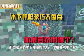 我的世界：盘点6大水下呼吸技巧，海龟帽可自带？第六名最好用！