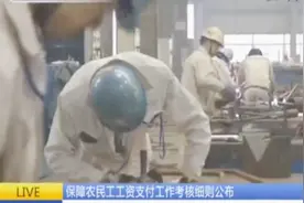 保障农民工工资支付工作考核细则公布强化对欠薪失信企业信用惩戒视频封面