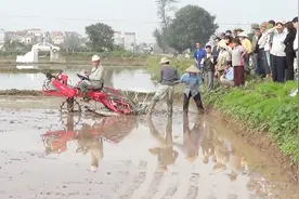 国外发明插秧机，一小时插秧3亩地！村里人都忍不住围观啦！视频封面