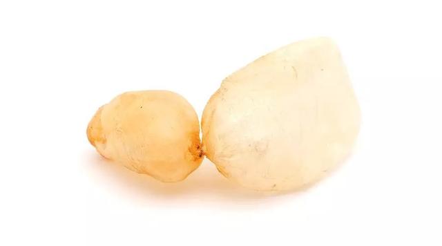 鱼含胶原蛋白高吗 2026年鱼含胶原蛋白高吗百度百科