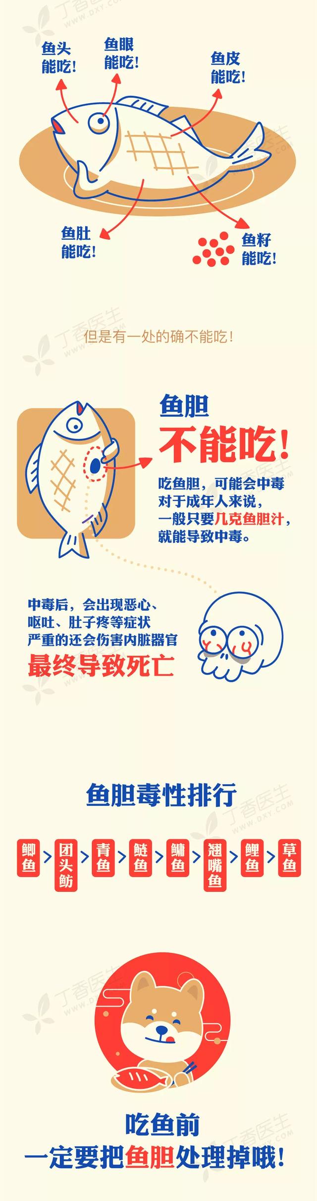 鱼含胶原蛋白高吗 2026年鱼含胶原蛋白高吗百度百科