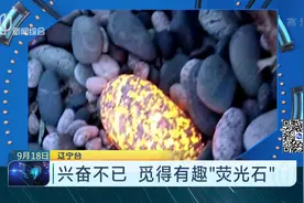 特殊的寻宝之旅！200多元一颗 女子在美国发现“荧光石”嗅到商机视频封面
