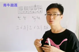 电子琴黑键如何命名和使用，它与白键有什么区别