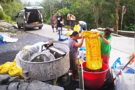 贩子来农户家收购野核桃！剥壳后1.5元一斤！你们觉得便宜吗？