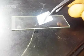 雨水放大1000倍里面有什么？