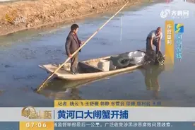 黄河口大闸蟹凌晨3点开捞！今年蟹很肥美 出水产量有每天5万斤！视频封面