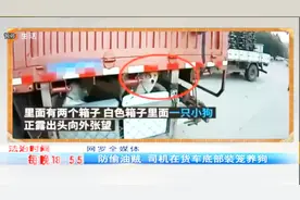 司机在货车底部装笼养狗 上路被查 称专门改造为防偷油贼