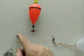 新手钓友 基础教程，海竿线组如何搭配