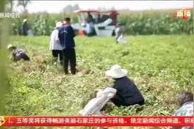 石家庄首届丰收节：河北花生之乡新乐