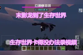 我的世界：把末影龙到了主世界居然能破坏基岩，而且异常的卡顿！