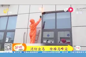 日照机场收费站来了两窝马蜂 已有4人被蜇伤 赶紧求助消防视频封面