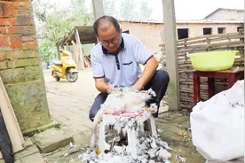 在农村收鸭毛赚钱吗？一只鸭子的毛才卖2元，这一天能赚多少钱？视频封面