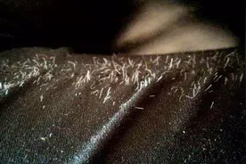 裤子起毛先别着急扔掉，简单1招，恢复原样，简单易学还省钱视频封面