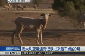 史无前例！澳大利亚遭遇有记录以来最干燥的9月视频封面