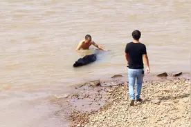 农村小伙放鱼笼，见一大叔在赣江打捞黑木，这黑木值钱吗视频封面