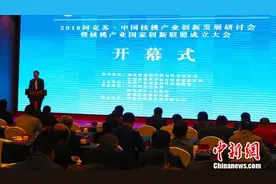 专家齐聚新疆阿克苏为核桃产业“把脉”共筑创新发展之路图片