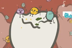 牙龈出血，牙缝撑大，牙釉质损伤……「洗牙」真的有这些危害吗？视频封面