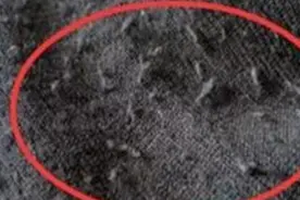 毛衣起球不用怕，教你自制去球神器，不花一分钱，轻松去干净