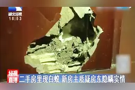 女子花百万购买二手房，没想到白蚁泛滥多年，质疑原房主隐瞒实情视频封面