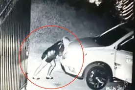 彪悍！女子忘拉手刹溜车，化身大力士顶回原位，事后自己笑岔气视频封面