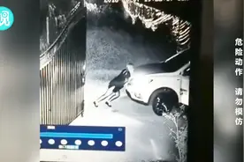 女子停车忘拉手刹致车辆溜坡 竟化身大力士徒手将车推回了原位视频封面