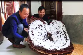 农村这种马蜂一窝能卖10000块，蜂蛹比拇指还大，你见过吗？视频封面