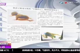 熊孩子爬进安检机 电脑留下清晰扫描影像 提醒：辐射大影响健康