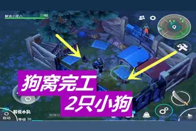 地球末日生存13：狗窝终于完工了！放进去2只小狗！