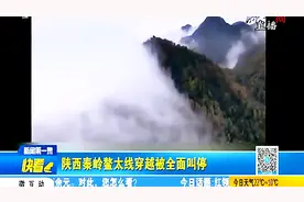 陕西秦岭鳌太线穿越 被全面叫停 叫停原因令人气愤视频封面