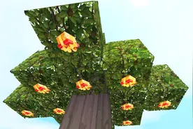 迷你世界：教你种植星星礼盒树教程，这样就有用不完的星星了！