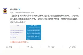 警方倡议：网友勿传“幼儿园砍人”血腥视频和图片 避免造成二次伤害图片