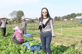 打工累得腰酸背痛，婷子自编神曲《不想上班》，歌词太深入人心了