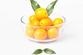 金桔功效多，但这3类人不可食用，看看有你吗视频封面