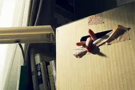 女孩代收快递箱子，诡异的是箱子流出不明液体，还伸出几根手指视频封面