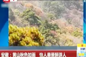 最美秋天在黄山，不得不看的黄山秋景最佳时间表！视频封面