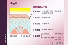 为什么男生的脸皮比女生的“厚”？图片