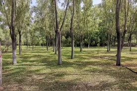 汾河湿地公园，休闲游玩好去处，还有汾河沙滩奥图片