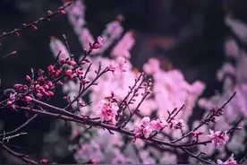 婚外情的男人，对情人的好感能持续多久？2个60岁男人说出心里话图片