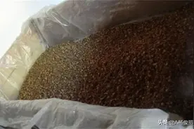 真全粮杨俊丽-固态发酵酿酒，要掌握哪些技术要点？图片