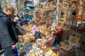 西安最“个性”地摊集市，每周仅开放2次，啥小玩意都能买到图片