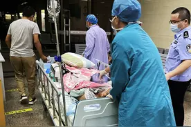 默默耕耘的“老黄牛”——强哥图片